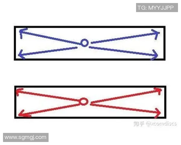 武汉飞盘队区域防守创新探索与战术分析全景解读