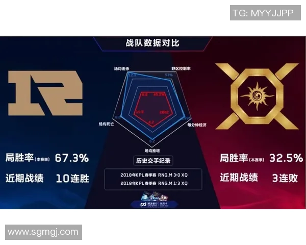 王者荣耀RNG团队协作的秘密与成功之道探讨