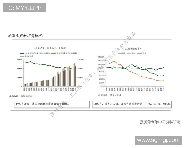 重磅专题:探讨LNG包夹革新对能源市场的深远影响与未来发展趋势