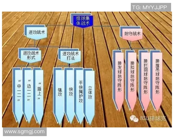 成都排球队中路突破的战术解析与发展前景探讨