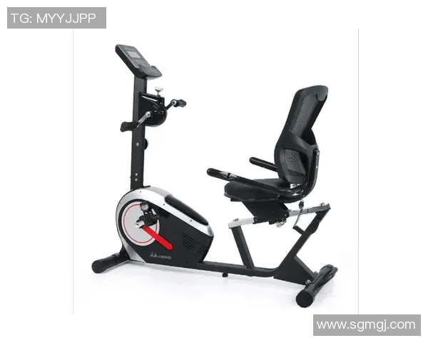 踢膝训练专用健身器材推荐及使用技巧