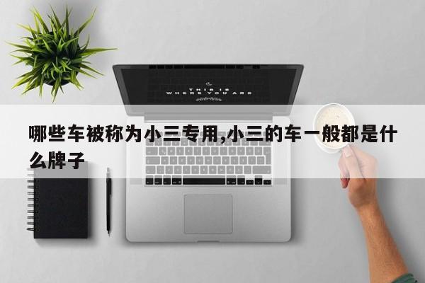 威尼斯wns8885556哪些车被称为小三公用小三的车普通都是甚么牌子(图1)