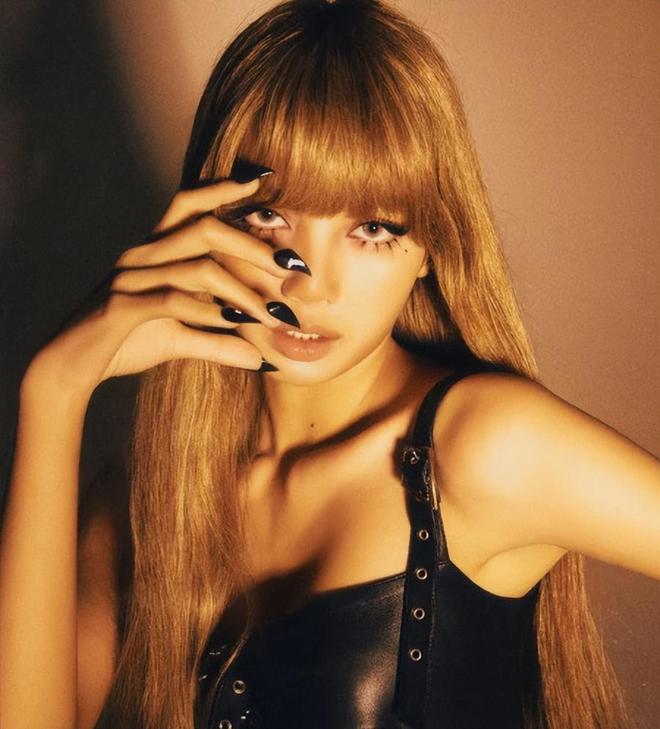 威尼斯网址Lisa被曝利用代价4亿韩元手提包(图4)